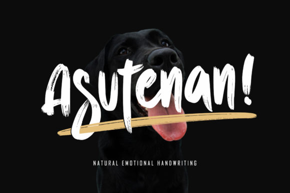Asutenan: A Handwritten Font That Brings Personality to Branding