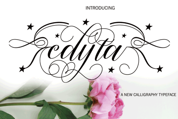 Edyta: A Handwritten Script Font for Elegant Branding
