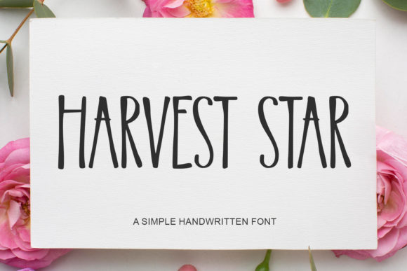 Harvest Star: A Thin Handwritten Font for Handmade Labels, Invitations, and Creative Packaging