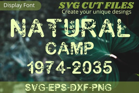 How Natural Camp Font Elevates Campaign Creativity with Organic Charm